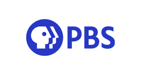viking iptv logo